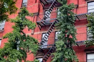 New York City Harlem & Bronx Yankees Game Tour thumbnail 6