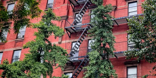 New York City Harlem & Bronx Yankees Game Tour - Image 6