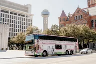Dallas Tea Tour on a Pink Bus 90 min thumbnail 2