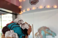 Tavares Paddle Adventure with Ice Cream 2.5 hr thumbnail 5