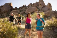 Scottsdale Sonoran Desert Guided Hike 2 hr thumbnail 6