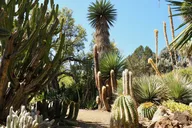 Walnut Creek Garden Admission thumbnail 3