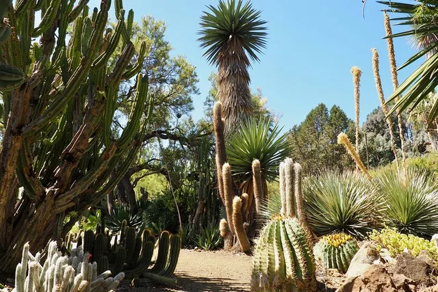 Walnut Creek Garden Admission - Image 3