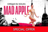 Las Vegas Cirque du Soleil Show at New York New York thumbnail 1