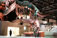 Houston CityPASS: Explore 5 Attractions thumbnail 5