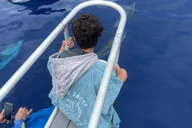Kona Ocean Safari and Snorkel thumbnail 2