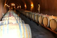 Santa Rosa North Sonoma County Winery Tour thumbnail 5
