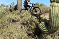 Scottsdale Mountain Bike Tour in Sonoran Desert 2 hr thumbnail 2