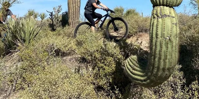 Scottsdale Mountain Bike Tour in Sonoran Desert 2 hr - Image 2