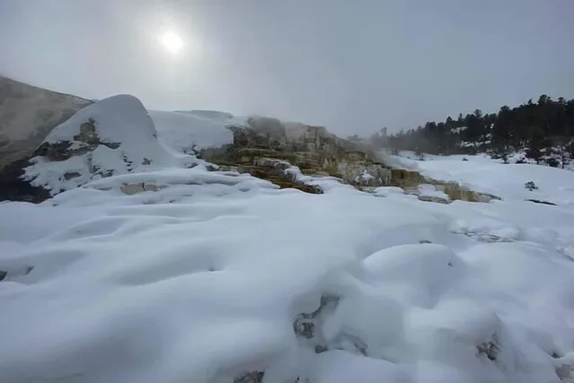 North Yellowstone National Park Winter Excursion - Image 4