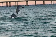 Destin Harbor Boat Ride thumbnail 3