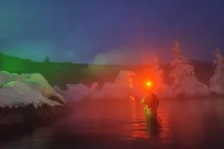 Fairbanks Chena Hot Springs Day Tour