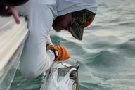 Key West Tarpon Fishing Charter at Sunset thumbnail 1