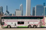 Chicago Tea Tour with Curated Teas and Iconic Sights thumbnail 1