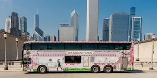 Chicago Tea Tour with Curated Teas and Iconic Sights
