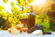 Long Island Winery Tour thumbnail 3