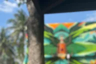 Miami Little Havana Walking Tour thumbnail 2