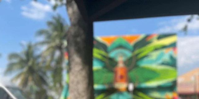 Miami Little Havana Walking Tour - Image 2