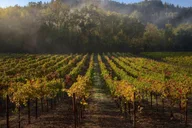 Sonoma Self-Guided Tasting Tour thumbnail 2