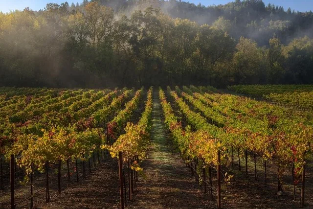 Sonoma Self-Guided Tasting Tour - Image 2
