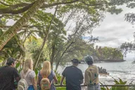 Hilo Gardens and Waterfalls Tour thumbnail 4