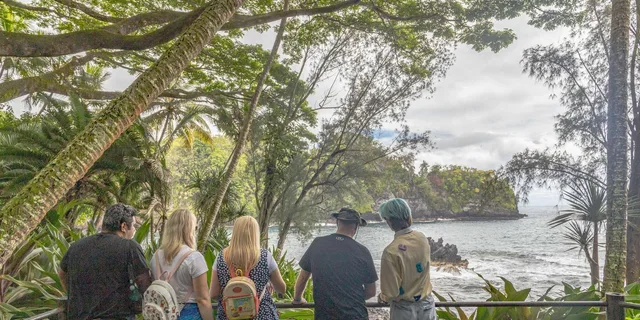 Hilo Gardens and Waterfalls Tour - Image 4