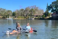 Crystal River Clear Kayak Manatee Tour 2.5 hr thumbnail 4