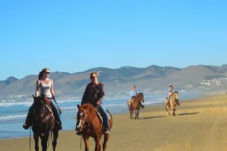 San Francisco Redwoods Horseback Riding Tour
