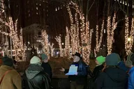 Pittsburgh Downtown Holiday Lights Walking Tour thumbnail 5