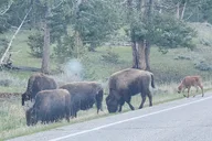 Utah Personalized Park Tour thumbnail 5