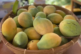 Lahaina Orchard Tour with Fruit Tasting 45 min