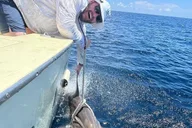 Hollywood Private Fishing Trip 8 Hours thumbnail 3