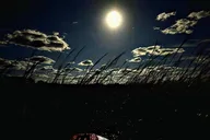 Amelia Island Full Moon Paddle thumbnail 3