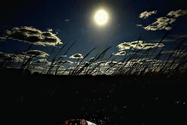 Amelia Island Full Moon Paddle - Image 3