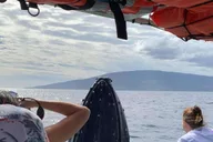 Ka'anapali Whale Watching Tour thumbnail 1