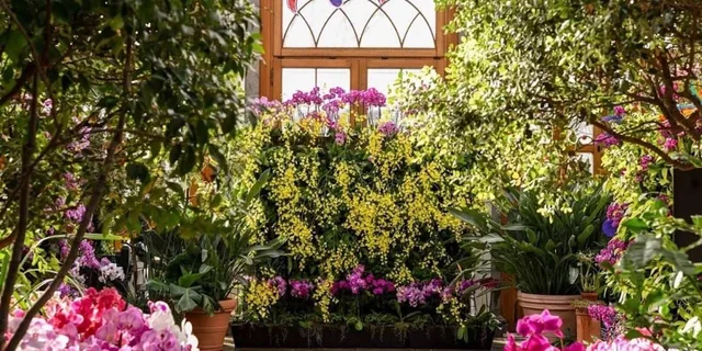 Boston Day Trip to New England Botanic Gardens - Image 4