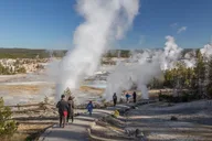 Yellowstone Wildlife and Hot Springs Tour thumbnail 1