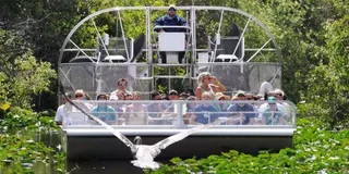 Miami Everglades Airboat Tour