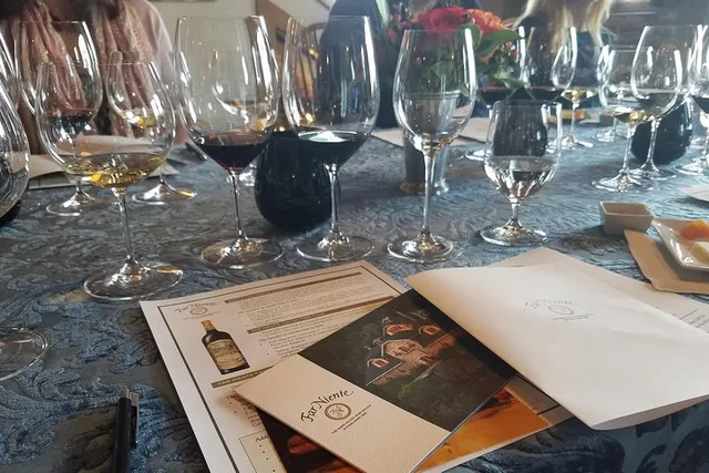 Napa Valley Winery Private Tour 8 hr - Image 5