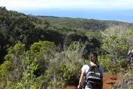 Kauai Hiking Adventure thumbnail 5