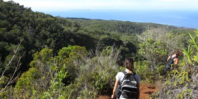 Kauai Hiking Adventure - Image 5
