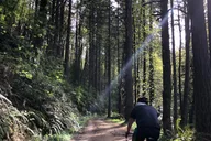 Portland Gravel Bike and E-Bike Tour in Forest Park thumbnail 5