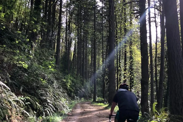 Portland Gravel Bike and E-Bike Tour in Forest Park - Image 5