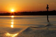 Savannah Dolphin Eco Tour at Sunset thumbnail 3