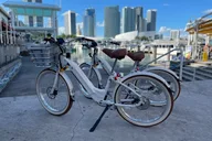 Miami Beach Electric Bike Rental thumbnail 6