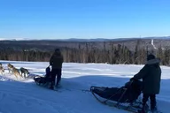 Fairbanks Dog Sledding Adventure thumbnail 5