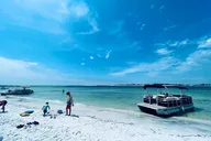 Panama City Dolphin and Sightseeing Tour thumbnail 1