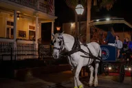 Charleston Ghost Carriage Tour thumbnail 1