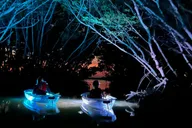 Shell Key Clear Kayak Sunset and Glow Tour thumbnail 6