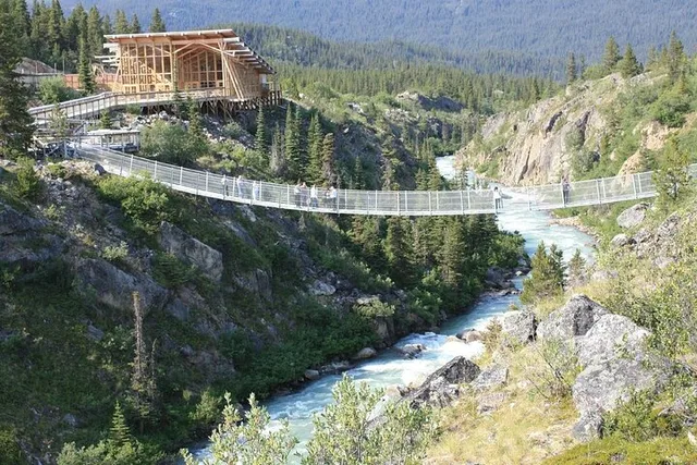Skagway Yukon Suspension Bridge Tour 3.5 hr - Image 2